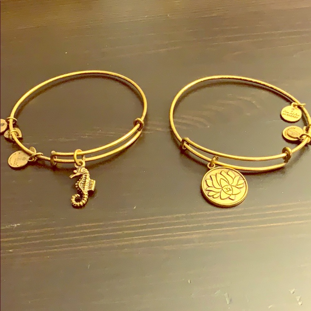 Gold Alex and ani charm bracelets